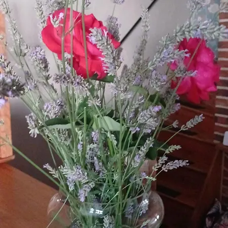 Maison Au Champ Du Souvenir 5 8 Personnes Feriehus