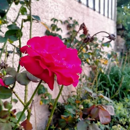 Maison Au Champ Du Souvenir 5 8 Personnes Ferienhaus Becordel-Becourt
